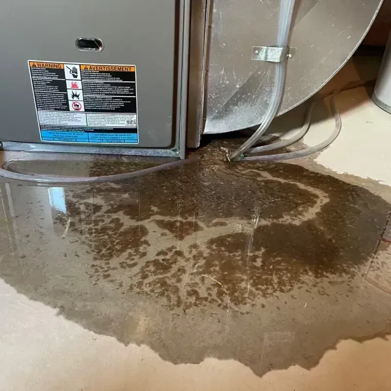 Appliance Leak Cleanup in Sedgwick County, CO